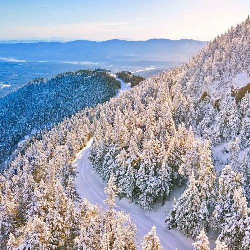  مه دلتنگم تو دل شادی پریسا پریسا های پریسا های پریسا